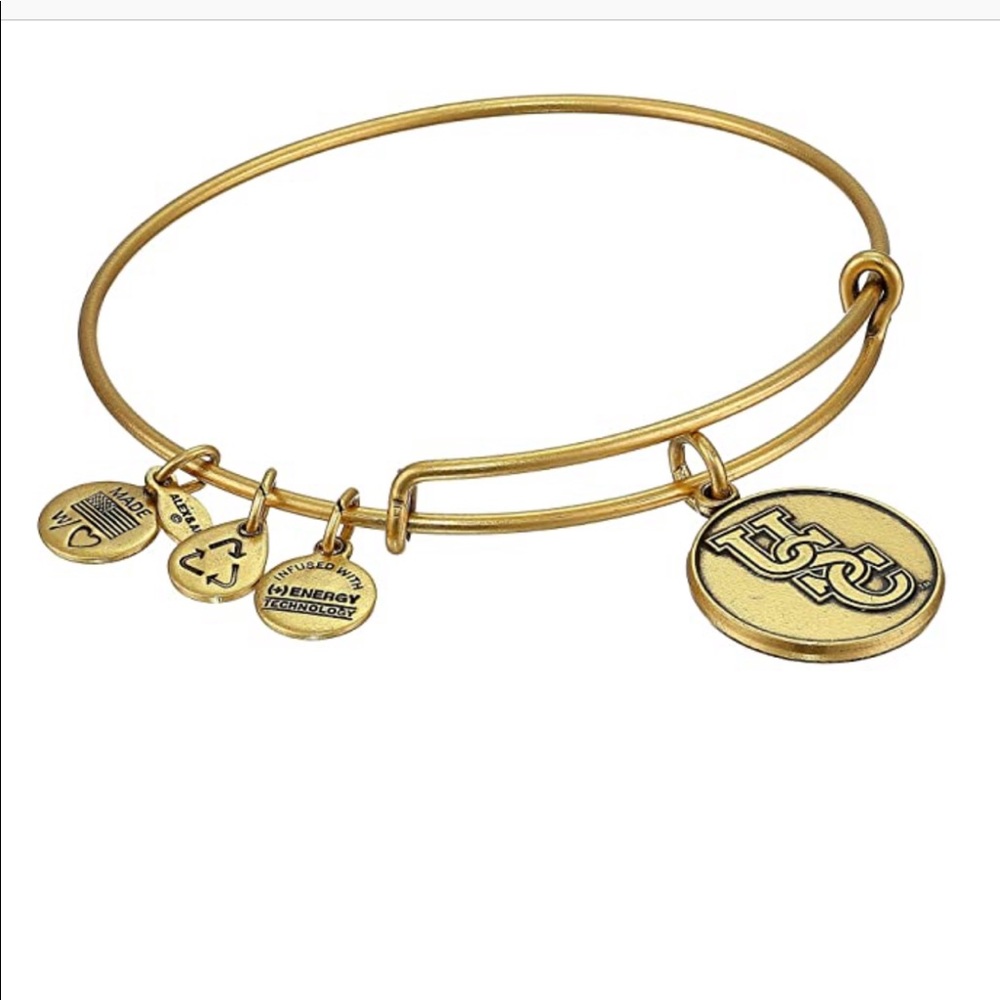 Alex and Ani University of South Carolina Bracelet